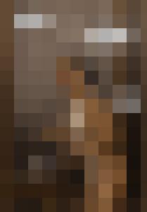 The Levite and his Concubine