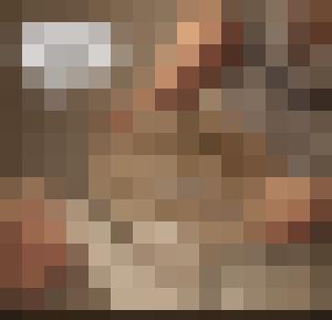 The Levite and his Concubine
