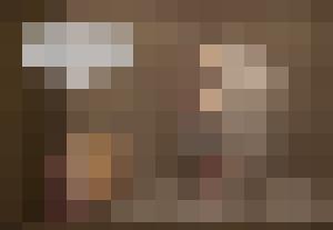 The Levite and his Concubine