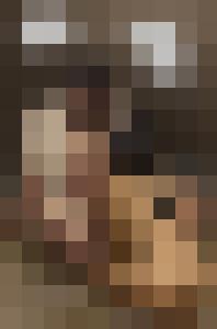 The Levite and his Concubine
