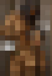 The Levite and his Concubine