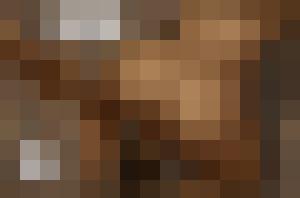 The Levite and his Concubine