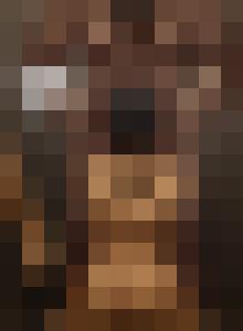 The Levite and his Concubine