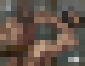 The Levite and his Concubine