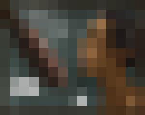 The Levite and his Concubine