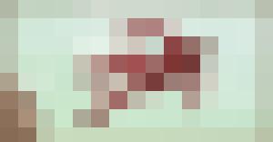 Terror from the Pocket Dimension