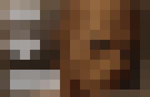 The Proto