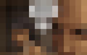 The Proto