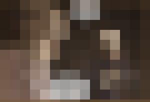 The Proto