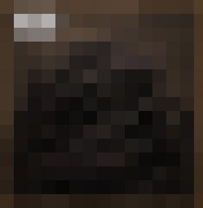 The Proto