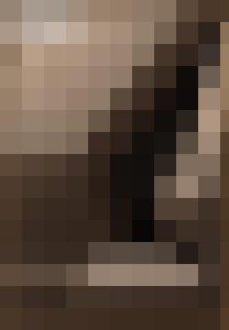 The Proto