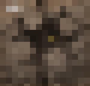 The Proto