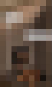 The Proto