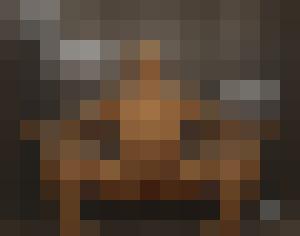The Proto