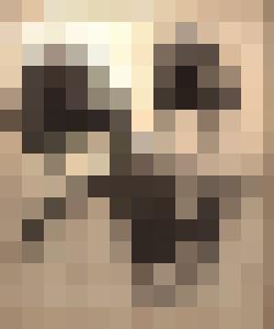 The Proto