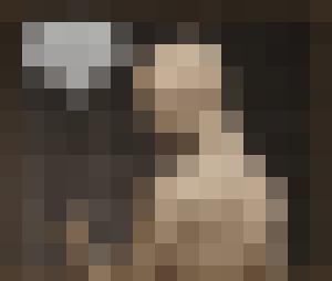 The Proto