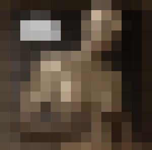 The Proto