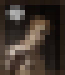 The Proto
