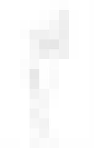 Dildo
