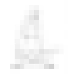 Dildo