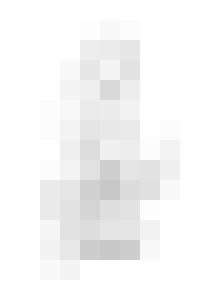 Dildo