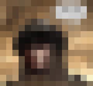 Death in the Harem