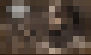 Jinni 2