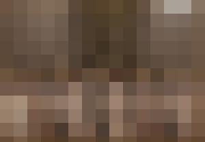 Jinni 2
