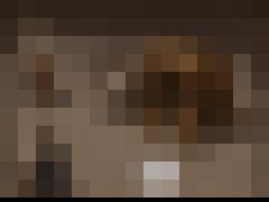 Jinni 2