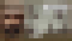 Jinni 2