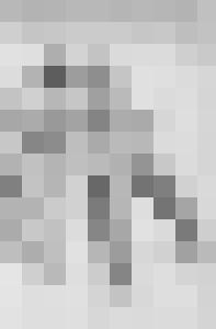 Corrupted Virgin