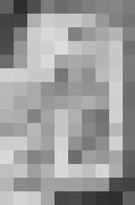 Corrupted Virgin