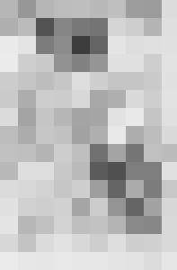 Corrupted Virgin