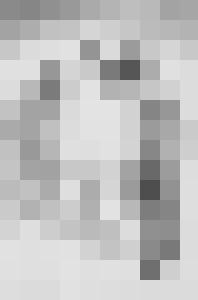 Corrupted Virgin