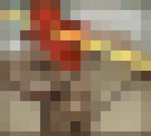 World Fist