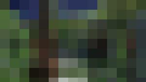 The Erotic Adventures of Treasure Hunter Clara Crotch Part 2