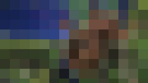 The Erotic Adventures of Treasure Hunter Clara Crotch Part 2