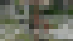 The Erotic Adventures of Treasure Hunter Clara Crotch Part 2