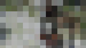 The Erotic Adventures of Treasure Hunter Clara Crotch Part 3