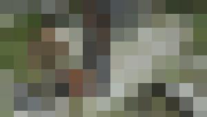 The Erotic Adventures of Treasure Hunter Clara Crotch Part 3