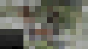 The Erotic Adventures of Treasure Hunter Clara Crotch Part 3