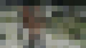 The Erotic Adventures of Treasure Hunter Clara Crotch Part 3