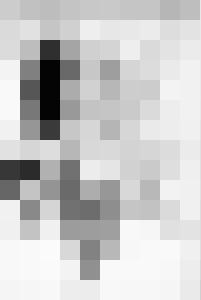 Black Chateau Vintage