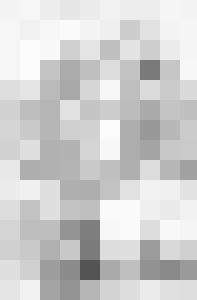 Black Chateau Vintage