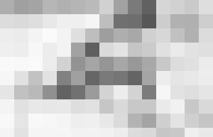 Black Chateau Vintage