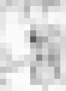 Black Chateau Vintage