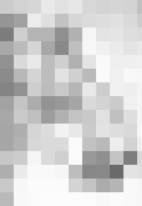 Black Chateau Vintage