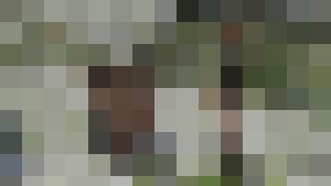 The Erotic Adventures of Treasure Hunter Clara Crotch Part 3