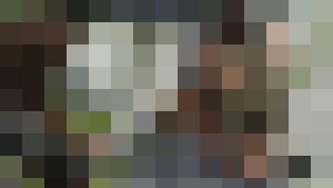 The Erotic Adventures of Treasure Hunter Clara Crotch Part 3