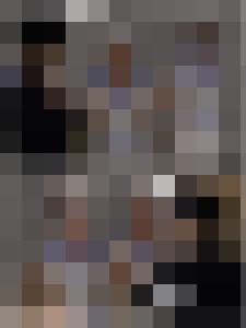 The War & Its Prisoners - The Harpy's Fate